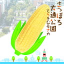 長沼あいす さっぽろ大通公園とうきびモナカ 1本入 送料無料 送料込み アイスモナカ 日高昆布醤油使用 北海道産生乳100%使用 焼きとう..