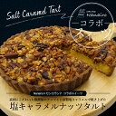 【母の日特集限定200円OFF】塩キャラメルナッツタルト 送料無料 北海道 お土産 アーモンド ヘーゼルナッツ クルミ マカダミアナッツ 塩キャラメル 北海道産...