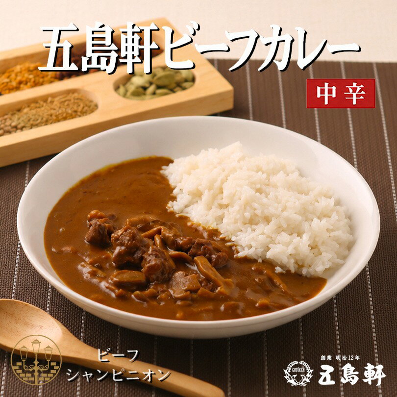 カレー 五島軒 送料無料 ビーフカレー 210g 北海道 レトルト食品 レトルト カレー ...