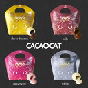 CACAOCAT 5入 4種類から選べる1個 送料無料 北海道 チョコレート お土産 手土産 人気 ダーク ミルク 抹茶 ホワイト ストロベリー カカオ DADACA カカオキャット 猫 ねこ ネコ 一口サイズ バレンタイン