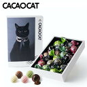 CACAOCAT ミックス 16入 5個セット 送料無料 ストロベリー ダーク ミルク ホワイト ヘーゼルナッツ チョコレート 北海道 お土産 ギフト 人気 DADACA カカオキャット 猫 ネコ ねこ