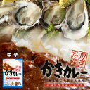 カレー レトルト 厚岸名産 かきカレー 1人前 180g 北海道 送料無料 中辛 牡蠣 お土産 ご当地 手土産 バレンタイン