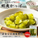 蝦夷かっぱ 150g 送料無料 北海道大学×香貴コラボ きゅうり 胡瓜 北海道産 ご飯のお供 漬け物 ギフト プレゼント お取り寄せ