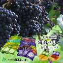 【賞味期限間近】【賞味期限8月24日】大特価 数量限定 北海道葡萄蒟蒻ゼリー ミックスグレープ ナイアガラ 各12個入 選べる個数と種類 送料無料 北見鈴木 こ...