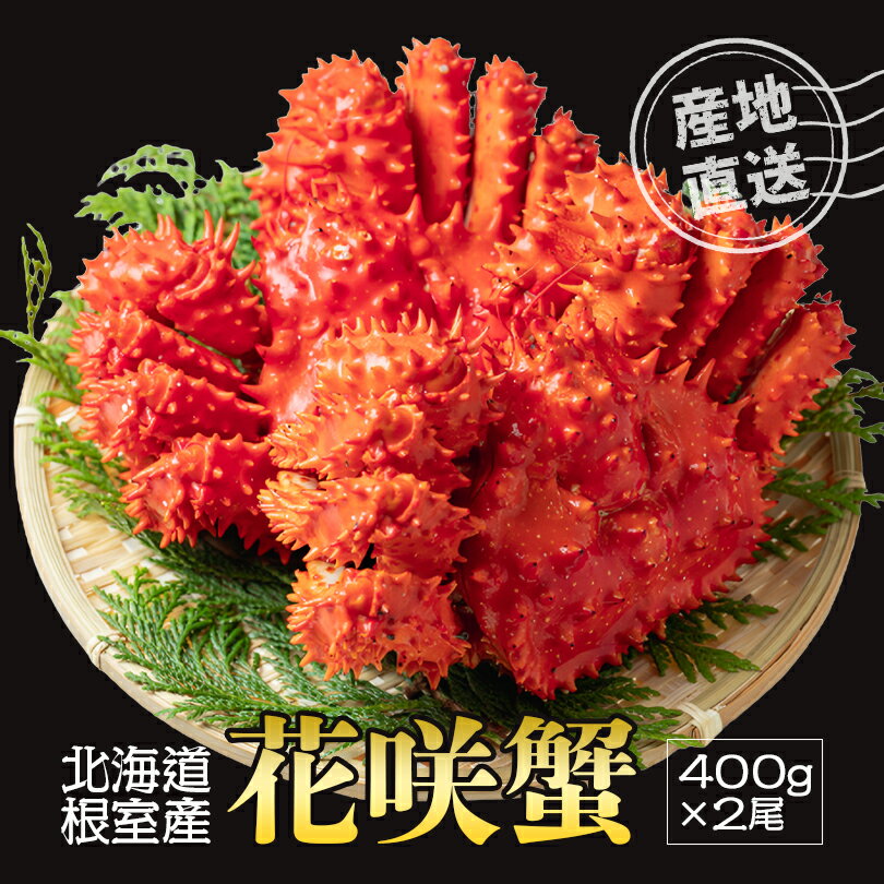 北海道 根室産 花咲蟹 400g 2尾 送料