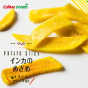 カルビー 黄金ポテト インカのめざめ 送料無料 カルビー じゃがいも 人気 お菓子 小袋 ご当地 ギフト プレゼント バレンタイン