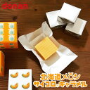 道南食品 北海道メロンサイコロキャラメル10粒 送料無料 北海道産 リニューアル 進化 地域限定 大人気 定番 お土産 手土産 バレンタイン