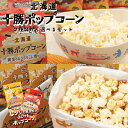 北海道 十勝ポップコーン うま塩味 56g キャラメル 72g 送料無料 前田農産 ポップコーン 電子レンジ専用 簡単 お菓子 おやつ ご当地 お土産 ギフト ...