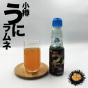 野島 小樽うにラムネ 200ml 送料無料 北海道 小樽市 雲丹 ラムネ 炭酸飲料 ご当地 お土産 贈り物 プレゼント ギフト