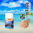 屋我地島の塩 50g (卓上タイプ) やがじしまのしお 送料無料 沖縄 お土産 沖縄ベルク グルメ しお シオ ソルト プレゼント ギフト 贈り物 お取り寄せ ...