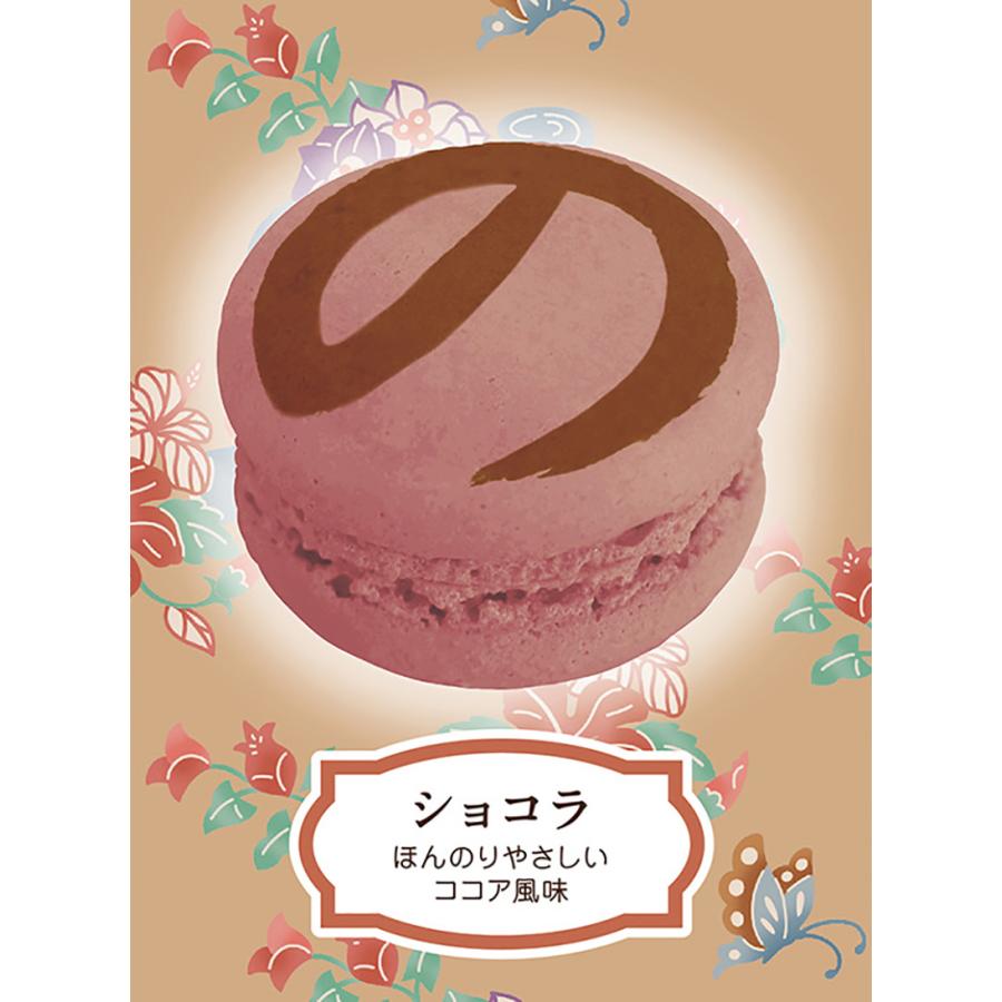 沖縄マカのン ショコラ 2個入 送料無料 送料込み 沖縄お土産 土産 グルメ お菓子 焼き菓子 マカロン マカのン チョコレート プレゼント ギフト 贈り物