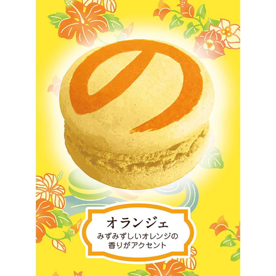 沖縄マカのン オランジェ 2個入 送料無料 送料込み 沖縄お土産 土産 グルメ お菓子 焼き菓子 マカロン マカのン チョコレート プレゼント ギフト 贈り物
