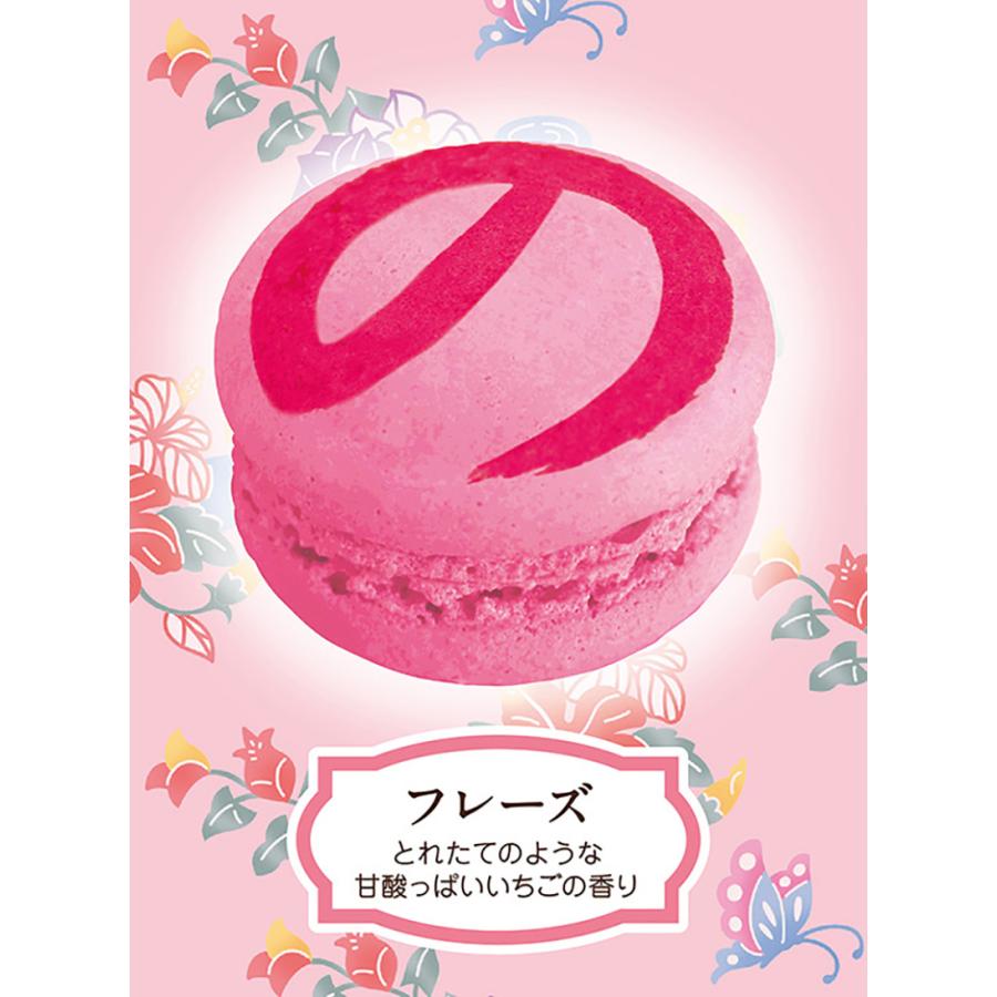 沖縄マカのン フレーズ 2個入 送料無料 送料込み 沖縄お土産 土産 グルメ お菓子 焼き菓子 マカロン マカのン いちご 苺 プレゼント ギフト 贈り物