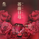 薔薇甘 苺 6個入 送料無料 ナンポー Numpo 沖縄 ストロベリーチーズケーキ カマンベールチーズ タルト 薔薇 ギフト お土産 塩ちんすこう ホワイト焼きショコラ