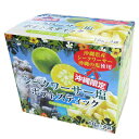 沖縄限定 シークヮーサー塩ポテトスティック 18g×4袋 送料無料 スナック菓子 沖縄県産シークヮーサー 沖縄の塩 南西産業