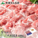千歳ラム工房 生ラム冷凍 たれ付き 600g ジンギスカン 焼肉 BBQ バーベキュー 北海道 羊肉 肉の山本 お土産 おみやげ プレゼント ギフト バレンタイン
