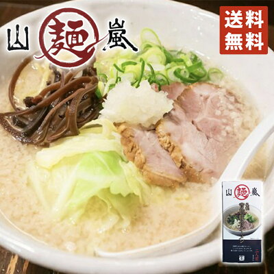 北海道銘菓 センカランド ラーメン 送料無料 山嵐 札幌背油豚骨ラーメン 2人前×10個セット 北海道 お土産 札幌 らーめん ラーメン とんこつ 人気店 生麺 有名店 ヤマアラシ バレンタイン 画像3