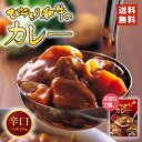 びらとり和牛カレー (辛口) ×2個セット メール便 送料無料 黒毛和牛 北海道 平取 和牛 A-5ランク カレー レトルト お土産 手土産 プレゼント