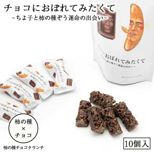 チョコにおぼれてみたくて 10個入 送料無料 北海道 チョコ お菓子 洋菓子 お土産 ギフト プレゼント 柿の種 チョコレートクッキー 父の日
