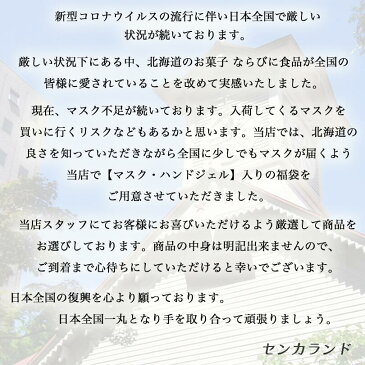 【携帯用ハンドジェル30ml 2本・マスク60枚入】北の支援袋 【陸】 16000円 バラエティセット 送料込 北海道 福袋 支援 マスク ハンドジェル 消毒液 除菌 アルコール消毒 手 手指 ウイルス対策 三層マスク ウィルス対策 予防 使い捨て 男女兼用 レギュラーサイズ 大人用