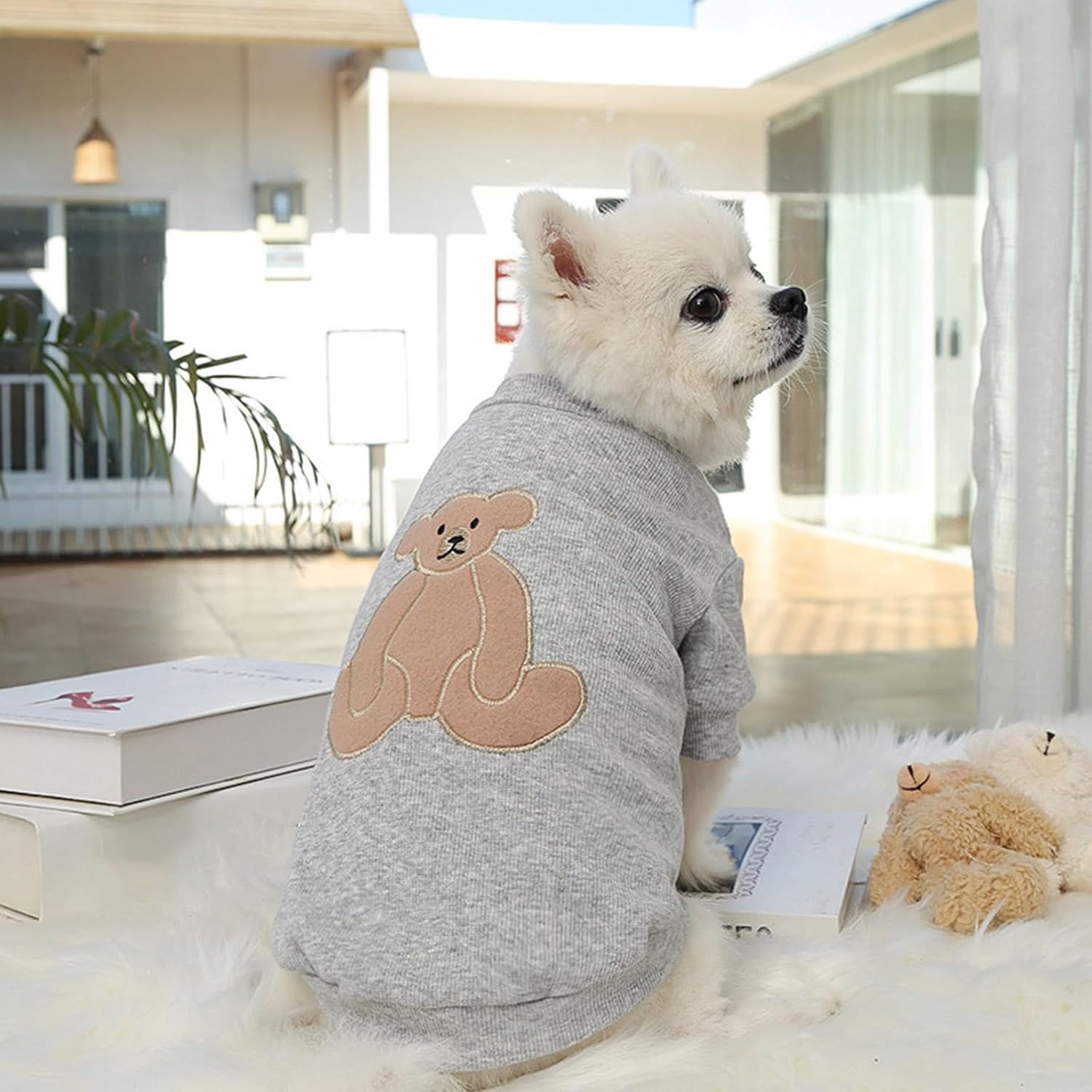 ̳ƻò 󥫥ɤ㤨֡ڥ֥åե饤ǡָ1127ޤ 50%OFF۸ ɥå ̵ 夯 ȥ졼ʡ  ɽ      İ   ɥDOGGYLANDפβǤʤ600ߤˤʤޤ