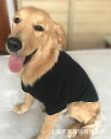 犬服 ドッグウェア 大型犬 無地 カラフル スウェット トレーナー 送料無料 犬 服 犬の服 ドギーラン DOGGYLAND 秋 冬 おしゃれ かわいい 着回し...