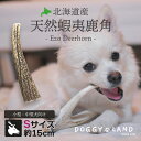 Deerhorn【Sサイズ】 北海道産 鹿角 ペット 犬 おもちゃ 小型犬 プレゼント いたずら防止 おやつ デンタルケア ガム 犬用 鹿の角 天然 無添加 送料無料 S 柴犬 コーギー いぬ イヌ チワワ トイプードル