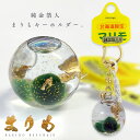 【北海道限定】 純金箔入りまりもキーホルダー お守り ストラップ 観賞用 ギフトに最適 北海道 お土産 金箔 マリモ ストラップ 観賞用 ギフト プレゼント お...
