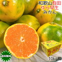 みかん 小玉 送料無料 10Kg 有田みかん 和歌山県 有田 ゆら早生みかん 秀 Sサイズ 10kg 早生みかん 贈答用 ギフト