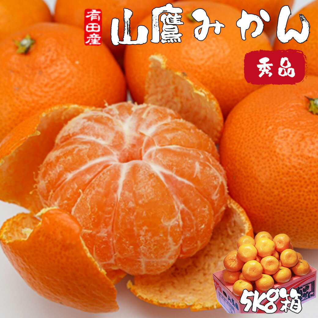 みかん 10Kg 送料無料 和歌山県 有田みかん 山鷹みかん 秀 Sサイズ 10kg 贈答用 ギフト(4)
