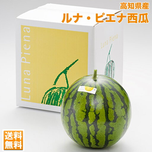 スイカ すいか 西瓜 大玉 高知県産 ルナピエナ 西瓜 約5kg-7kg 中玉 金時 送料無料 ギフト すいか スイカ 父の日 5月中旬頃から スイカ すいか 西瓜 大玉 高知県産 ルナピエナ 西瓜 約5kg-7kg 中玉 金時 送料無料 ギフト すいか スイカ 父の日 5月中旬頃から