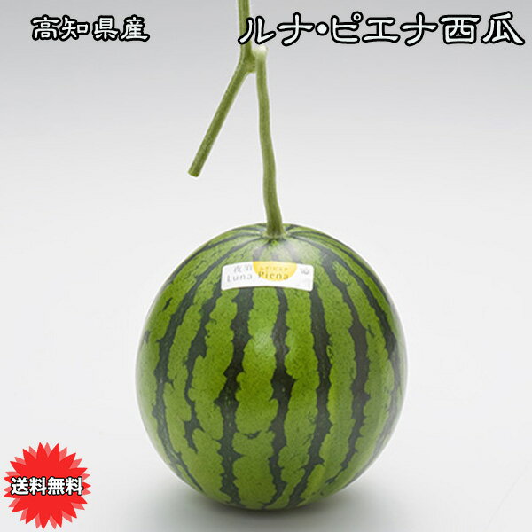 スイカ すいか 西瓜 小玉 送料無料 高知県産 ルナピエナ 西瓜 夜空 ギフト すいか スイカ お歳暮 ギフト