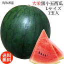 すいか スイカ 鳥取県産 大栄 黒小玉西瓜 Lサイズ 1玉入 2kg 送料無料 鳥取県 西瓜 大栄 すいか 小玉西瓜 ギフト スイカ 敬老の日