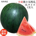 すいか スイカ 鳥取県産 大栄 黒小玉西瓜 3Lサイズ 1玉入 2.8kg 送料無料 鳥取県 西瓜 大栄 すいか 小玉西瓜 ギフト スイカ ご家庭用