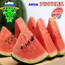 すいか スイカ 信州 長野県産 アルプス 西瓜 8kg以上 訳あり ご家庭用 送料無料 お試し 大玉西瓜 光糖度センサー識別合格済(4)