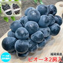 ぶどう ピオーネ 嬉しい 2房入 福岡県産 ピオーネ の セット 300g × 2房入 ギフト ぶどう ピオーネ クール便 送料無料