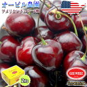 予約 オービル農園 アメリカンチェリー オービル農園 GEE WHIZ 大粒 ダークチェリー 2kg 送料無料 世界最高品質 ダークチェリー チェリー cher...