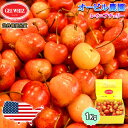 予約 オービル農園 アメリカンチェリー オービル農園 GEE WHIZ 大粒 レイニアチェリー 1kg 送料無料 世界最高品質 レーニアチェリー チェリー ch...