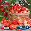 予約 アメリカンチェリー レイニアチェリー ワシントン州産 大粒 1kg 高級アメリカンチェリー レイニア 【6月20日〜8月9日の出荷予定】 00013KD