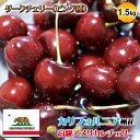 予約 アメリカンチェリー 1.5kg カリフォルニア州 ダークチェリー 大粒サイズ 1.5Kg 高級・特選アメリカンチェリー【5月下旬〜6月中旬の出荷予定】 1...