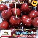 予約 アメリカンチェリー 1kg カリフォルニア州 ダークチェリー 大粒サイズ 1Kg 高級・特選アメリカンチェリー【5月下旬〜6月中旬の出荷予定】 10166...