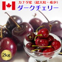お中元 さくらんぼ アメリカンチェリー カナダ産 超大粒 2kg 高級アメリカンチェリー ダークチェリー 【8月上旬~9月上旬の出荷予定】 送料無料 03620K