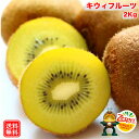 キウイフルーツ ゼスプリ サンゴールド 2kg キウィ キウイ ニュージーランド産 ゼスプリ サンゴールド キウイ 12-20玉入 約2Kg 送料無料 kiwi...
