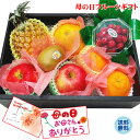 母の日 プレゼント フルーツギフト 送料無料 店長 いちおし 自慢の フルーツ 沖縄県のスナックパイン と さくらんぼ が入った フルーツ詰合せ セット りんご...