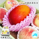ギフト フルーツ詰合せ 送料無料 店長 いちおし 桃 と マンゴー の 詰合せ セット フルーツ くだもの お取り寄せ 贈り物 ギフト 贈答品 食品 もも マン...