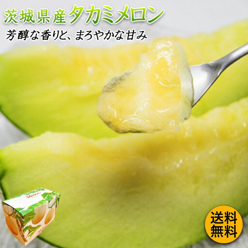 メロン 贈答用 2玉入 送料無料 茨城県産 タカミ メロン 化粧箱入 2玉入 約2.4kg たかみめろん たかみメロン 貴味 めろん 父の日 メロン 贈答用 2玉入 送料無料 茨城県産 タカミ メロン 化粧箱入 2玉入 約2.4kg たかみめろん たかみメロン 貴味 めろん 父の日