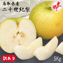 梨 なし 20世紀 東郷 訳あり 鳥取県産 20世紀 東郷 5Kg 鳥取ブランド ご家庭用 二十世紀 20世紀梨 傷有り