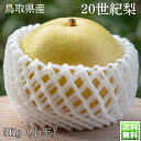 梨 なし 二十世紀 鳥取県産 20世紀梨 秀品 5kg 10~16玉入 20世紀 20seiki 贈答用 ギフト プレゼント