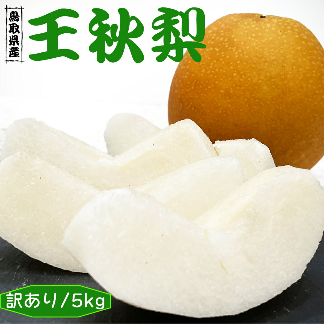 梨 なし ナシ 5kg 梨 送料無料 5kg 訳あり 鳥取県産 王秋 梨 5kg 送料無料 梨 なし おうしゅう 5Kg お歳暮 ギフト
