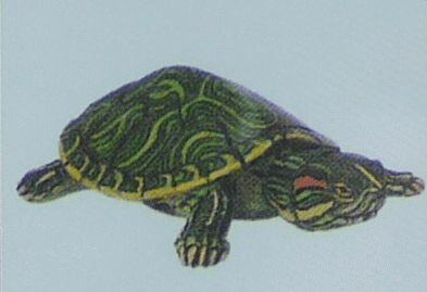 フルタ　チョコエッグ　034　ミドリガメ（ノーマル）　ペット動物コレクション　第1弾　【中古】のサムネイル